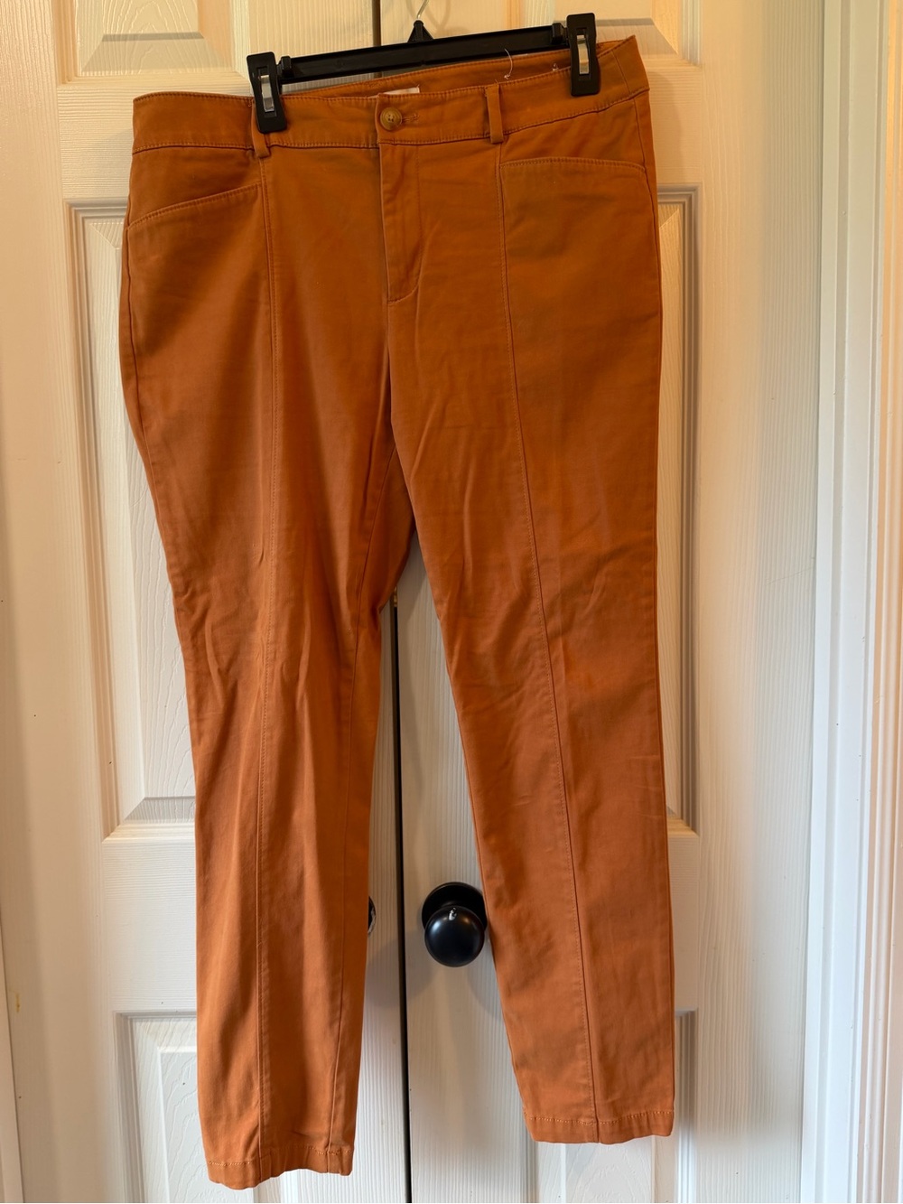 LOFT Woman’s  Burnt Orange Chino Pants skinny ankle size 12